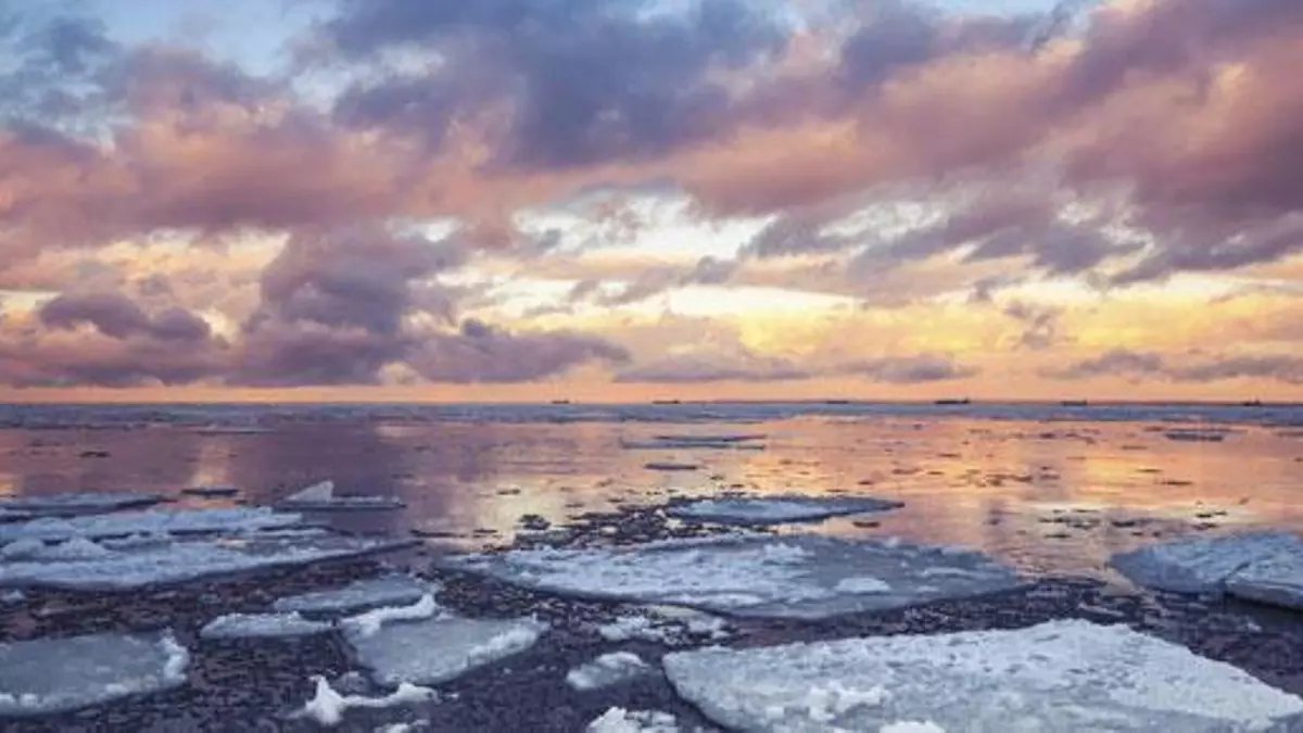 Cambio Climático: entre la crisis y la transformación