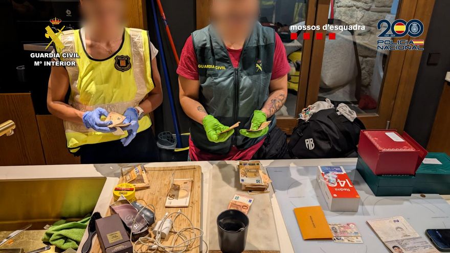 VÍDEO | Un detenido en Mallorca por una estafa de más de 10 millones de euros con falsas inversiones