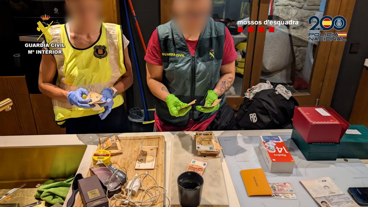 VÍDEO | Un detenido en Mallorca por una estafa de más de 10 millones de euros con falsas inversiones