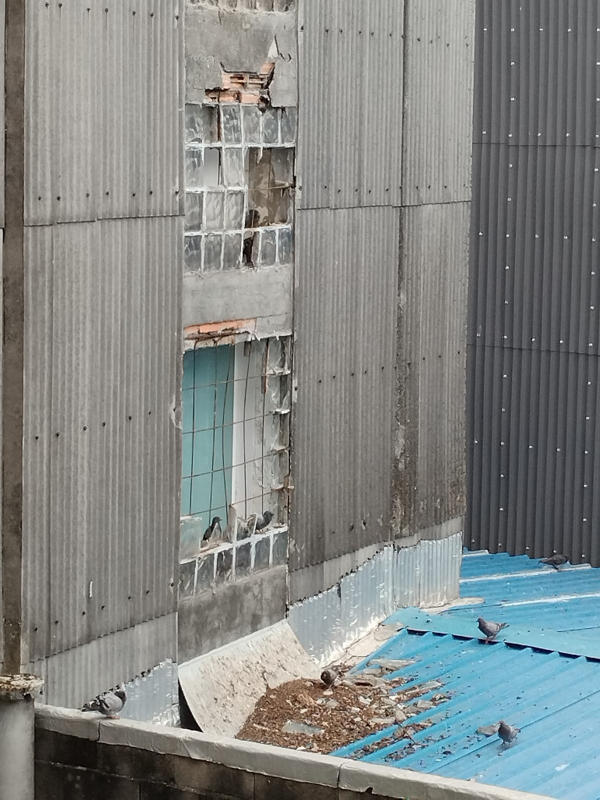 Vista de las palomas que anidan en el edificio, otro de los problemas denunciados.