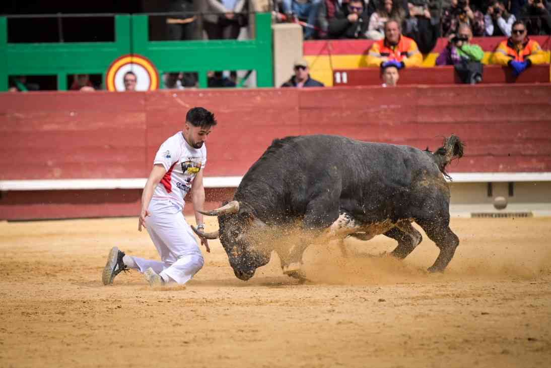 Así ha sido el Concurso Nacional de Recortadores de Castellón