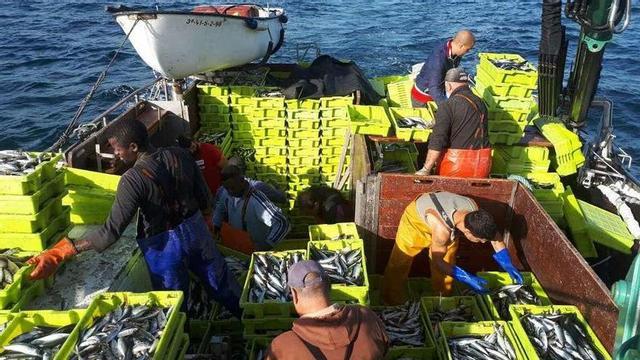 Los barcos tiran de jurel de pequeño tamaño | Los cerqueros del puerto de Vigo regresaron ayer a puerto con una pobre balance. Pese a las capturas no fueron pocas, el valor que alcanzan al llegar a tierra no satisface a los armadores. "Lo poco que nos dejan coger no vale para nada", decía ayer Ángel Cabaleiro mientras observaba las cajas amontonadas en su barco, el Novo Ameixa, con chincho -jurel de pequeño tamaño-y los restos de la invasión de cabalón, que ya está dejando la costa gallega.