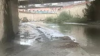 Orihuela limpia el río de la continua acumulación de cañas y residuos flotantes