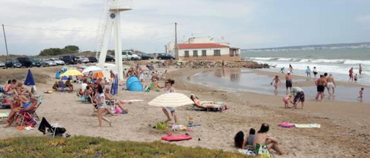 Vecinos de La Marina se muestran reticentes con la playa canina