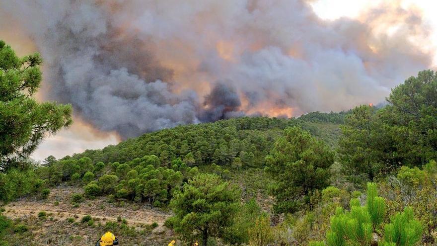 Un incendio en Las Hurdes obliga a evacuar, de manera preventiva, Cabezo, Ladrillar y Aceitunilla