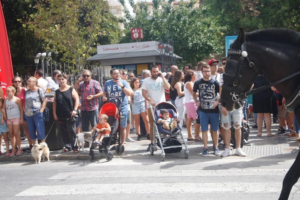 Día del caballo en la Feria de Murcia 2018