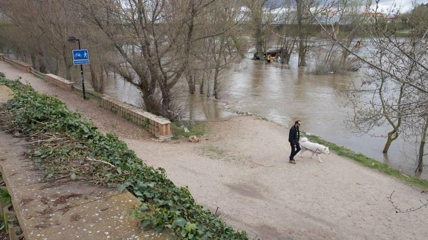 Tiempo en Zamora | Lluvia y temperaturas bajas