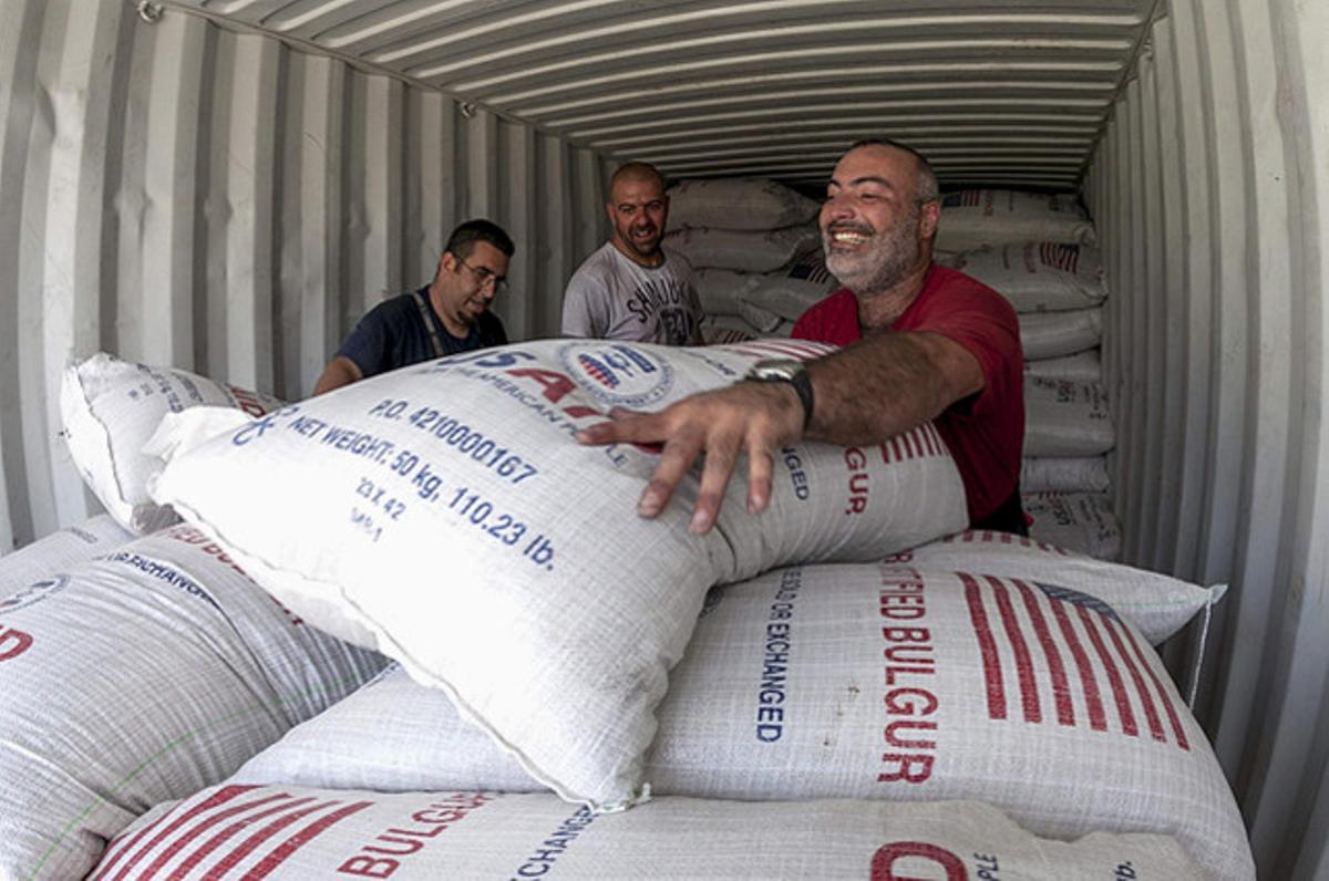 Una dona passa davant de l’escultura de ’Living together’ (2012) a l’exposició ’Re-Generation’ de l’artista xinès Xu Jiang, a Dresden (Alemanya), on s’exhibiran unes 150 obres de l’artista fins a l’agost.
