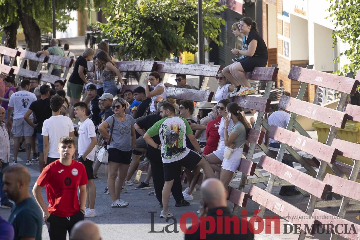 Séptimo encierro de las Fiestas de Moratalla