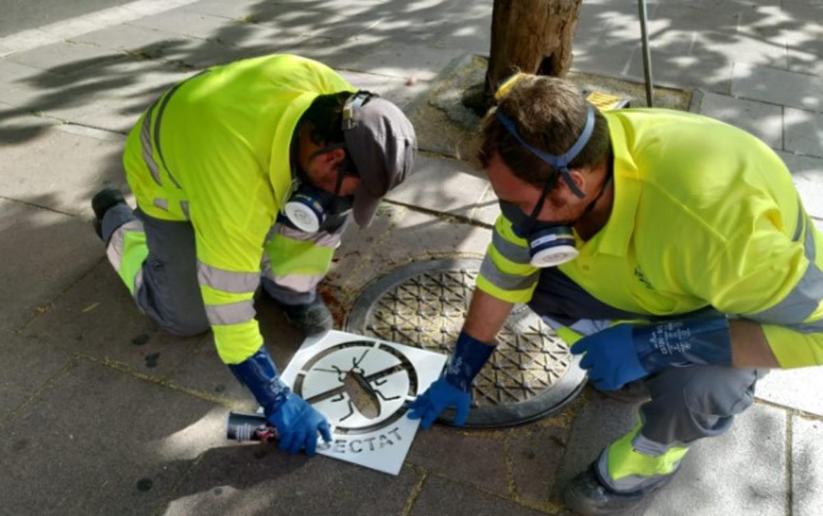 L’Hospitalet intensifica les tasques de desinfecció i control de plagues amb l’arribada de la calor