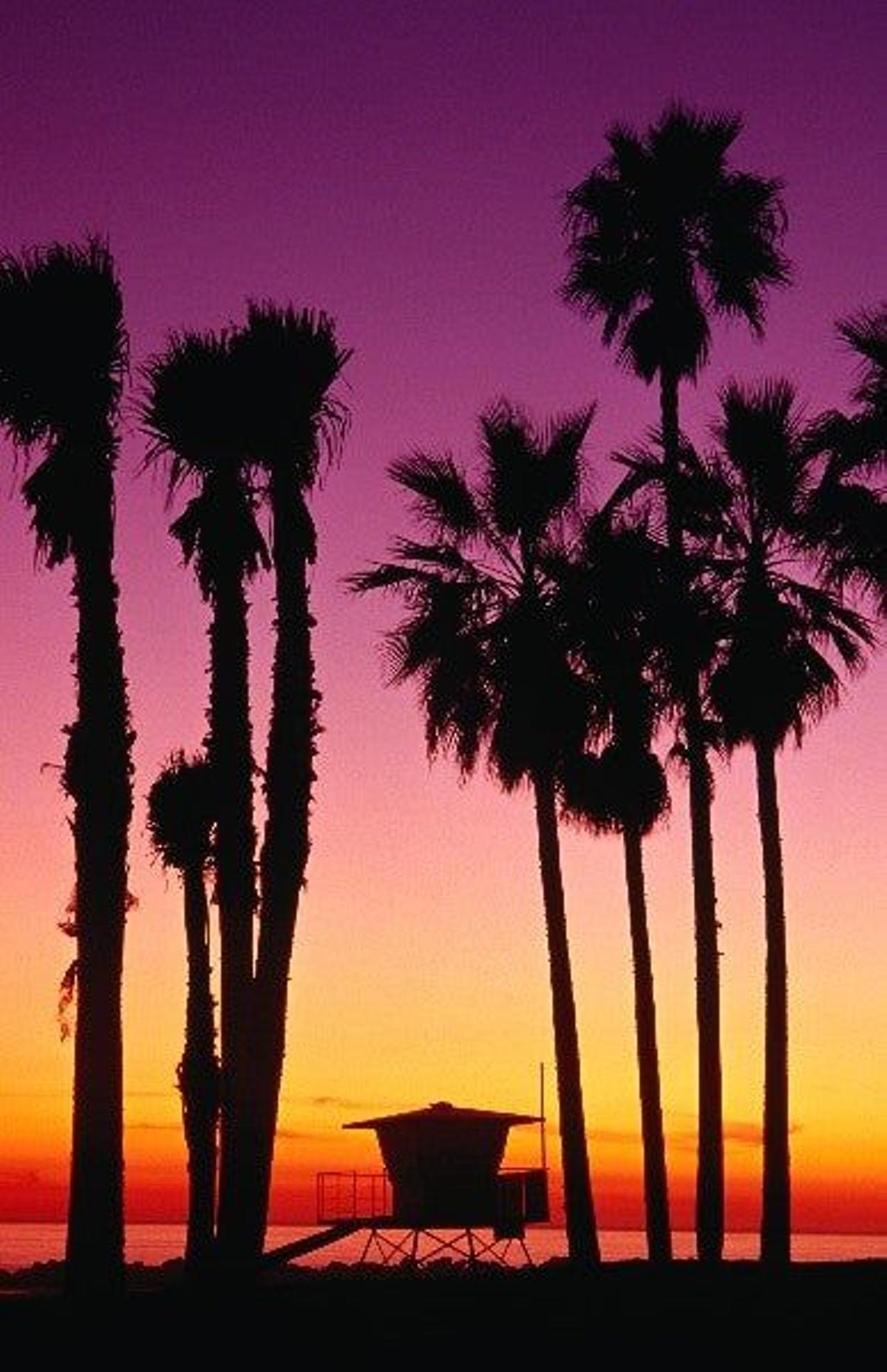 La californiana Venice Beach, famosa por su animación, sus canales y sus atardeceres.
