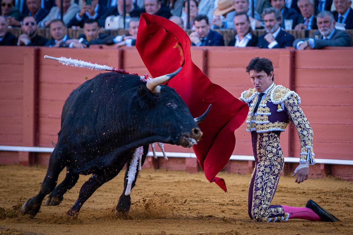 De hinojos comenzó Roca su primera faena