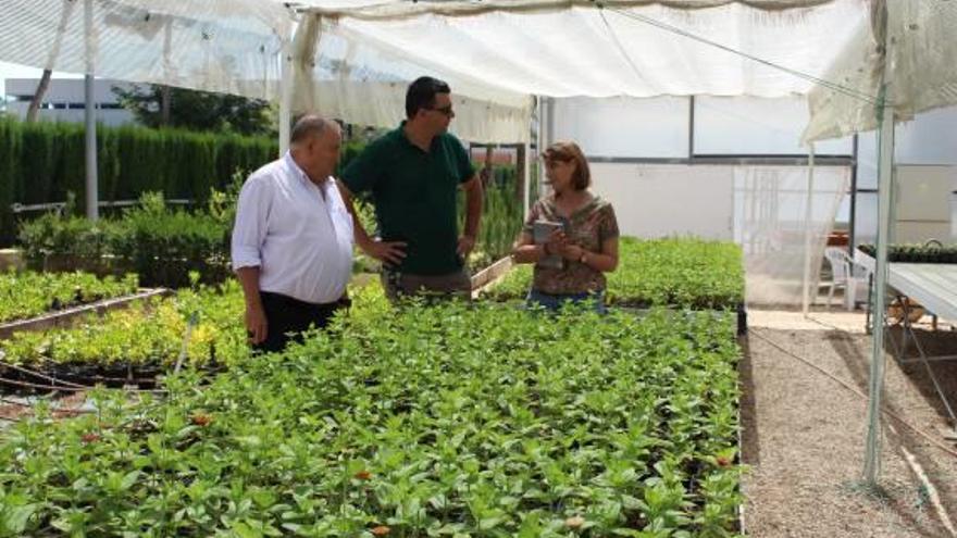 El edil de Parques y Jardines, Alfred Botella -izq-, durante una visita al vivero. A la derecha, otra imagen de las instalaciones ubicadas en la finca de Villa Marco.