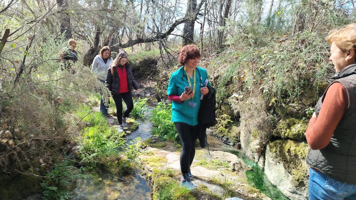 Paseo saludable en San Martín de Terroso