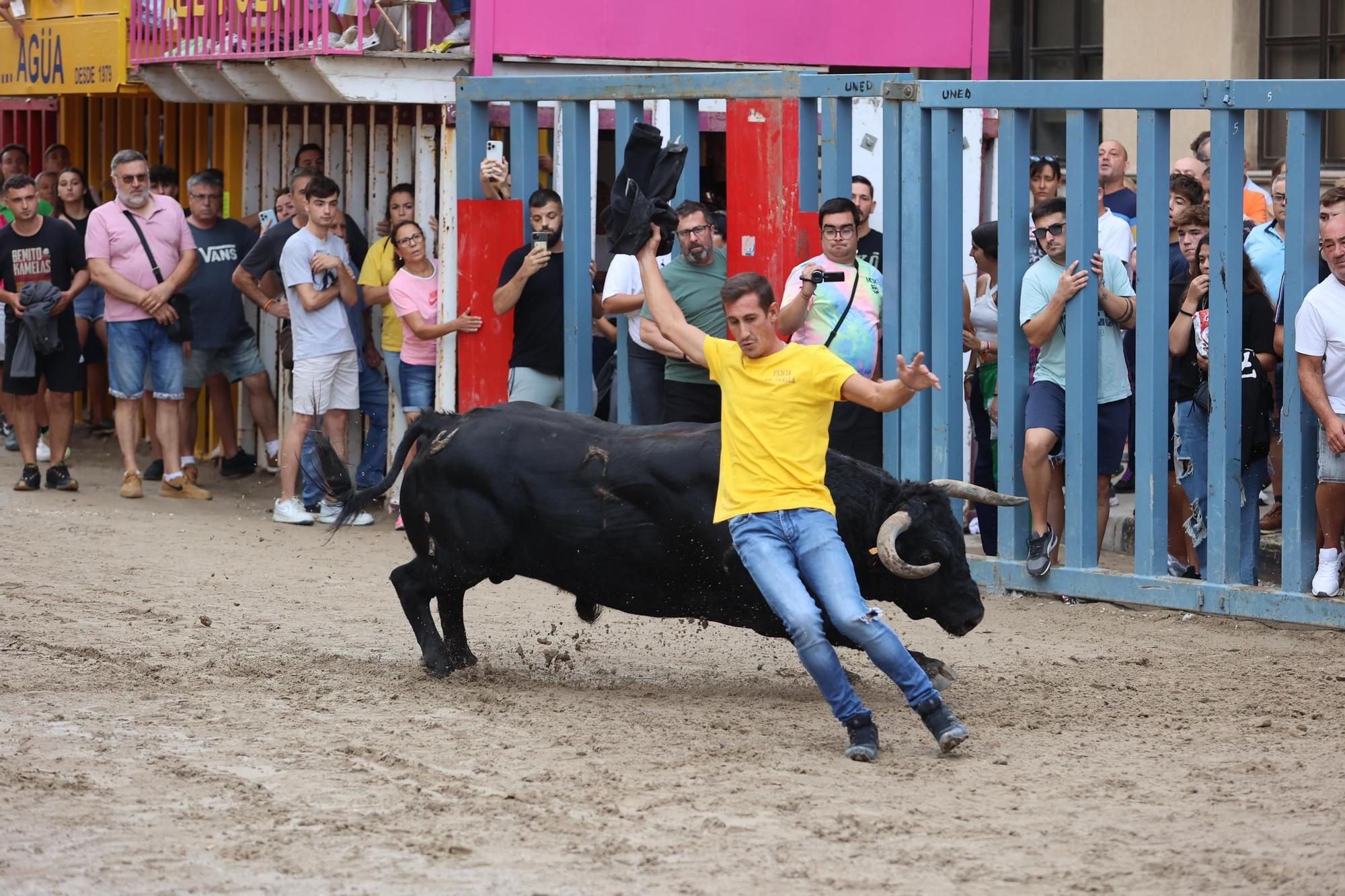 Las mejores imágenes de la jornada taurina de este miércoles en Vila-real