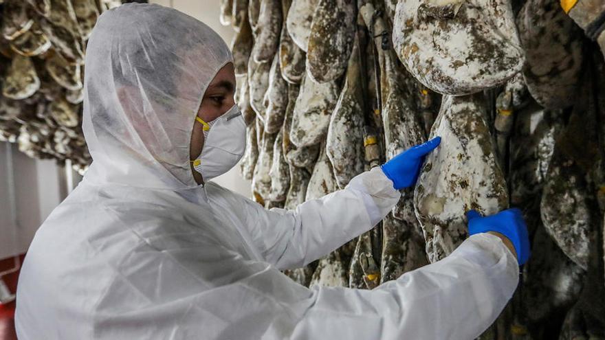 Un trabajador de una empresa de jamones observa cÃ³mo se curan los jamones.