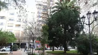 La reforma de Cánovas en Cáceres avanza pendiente del diseño definitivo y el inicio por fases