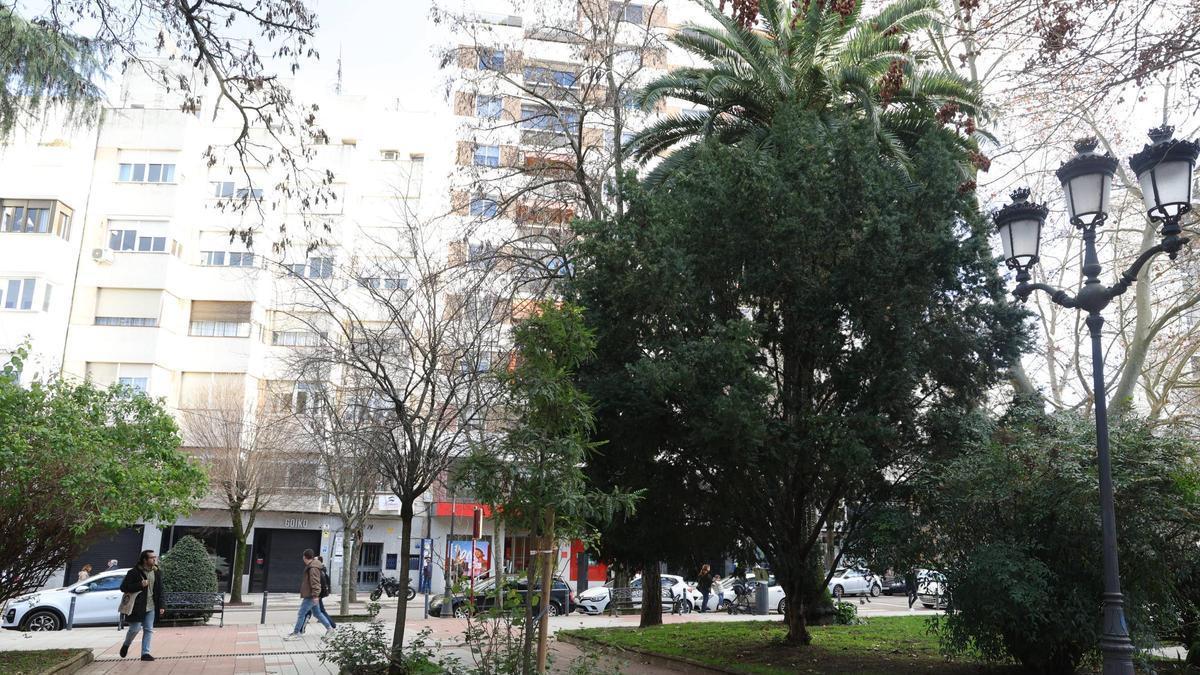FOTOGALERÍA | La esperada reforma del Paseo de Cánovas de Cáceres, más cerca