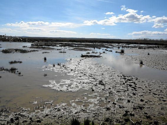 Albufera