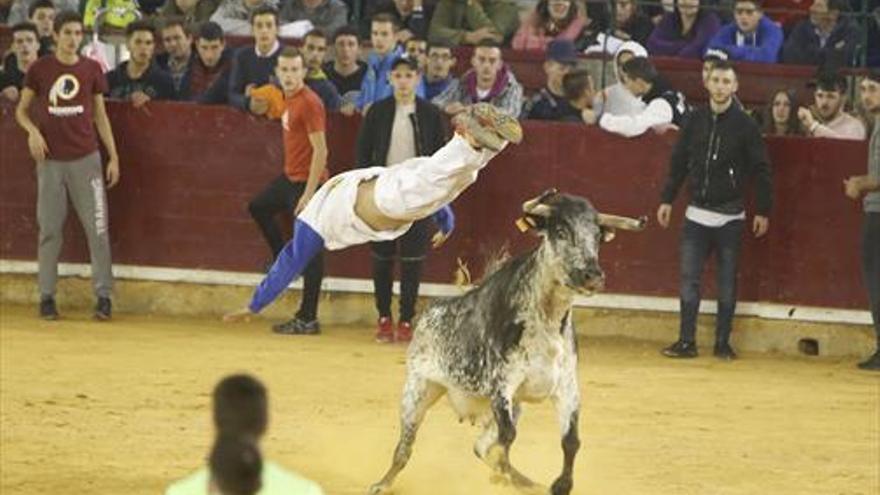 Los descuidos protagonizan la última jornada de las vaquillas