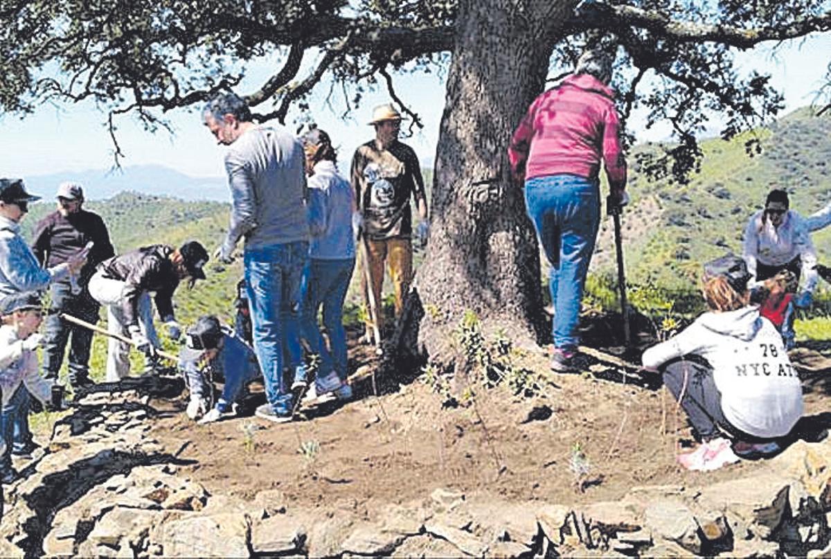 Trabajos de custodia del territorio con Almijara en Cártama.