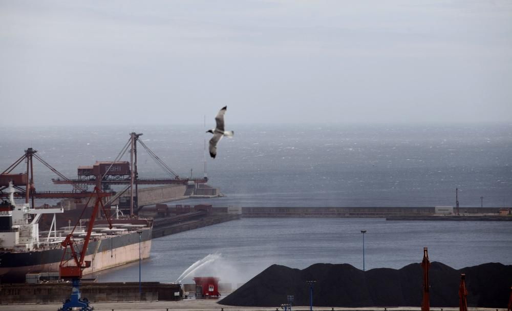 El temporal de viento causa estragos en Gijón