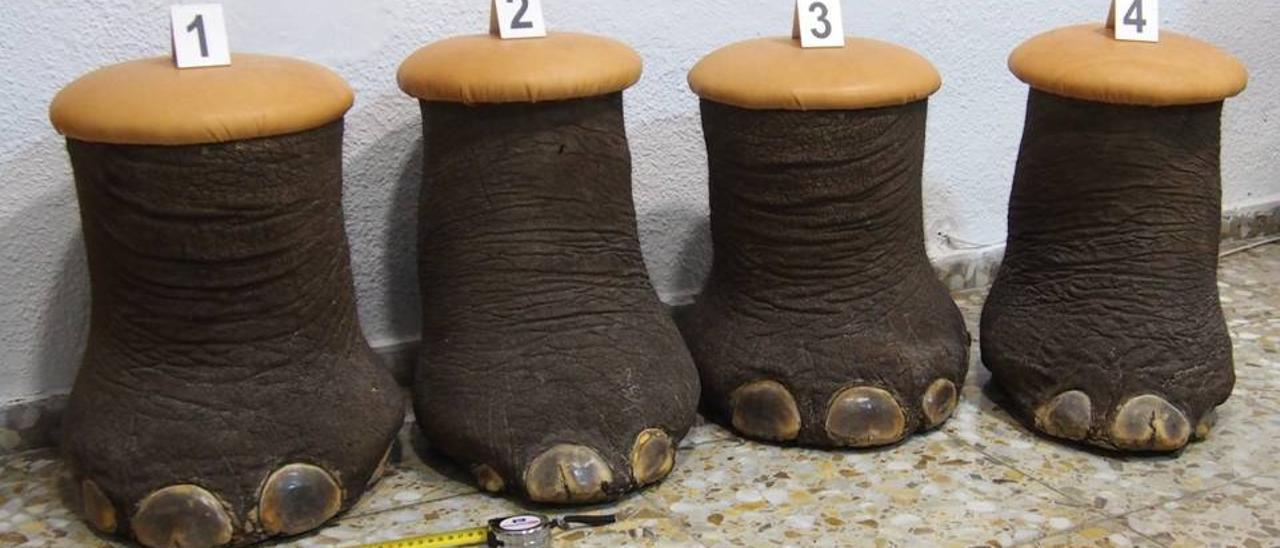 Las cuatro patas de elefante africano decomisadas en Alicante