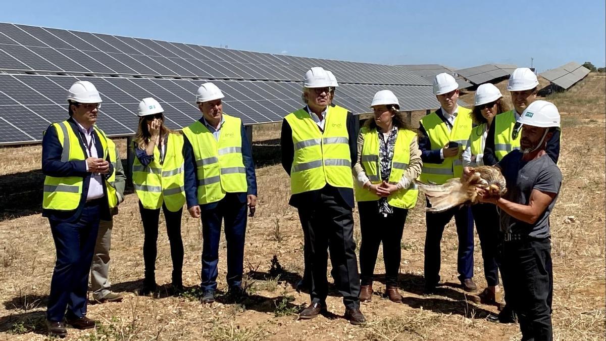 Vara realizó la suelta de un Milano Real entre las plantas fotovoltaicas
