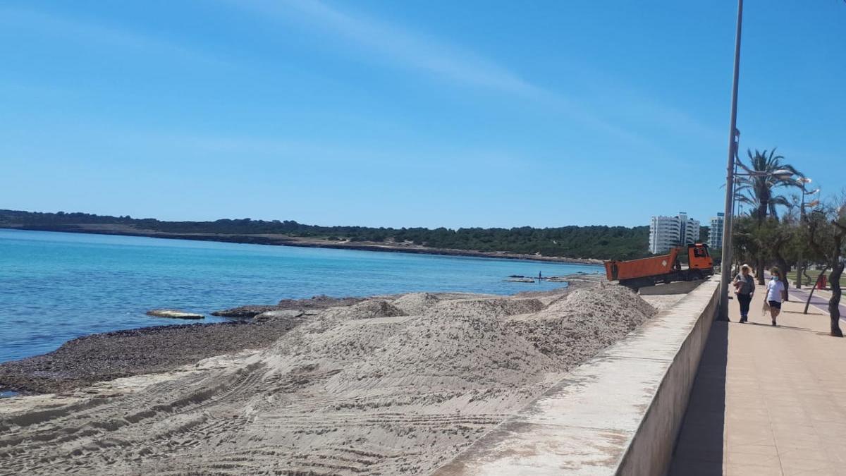 Umweltschützer wollen klären, warum der Sand der Häufchen verschiedene Farben hat.