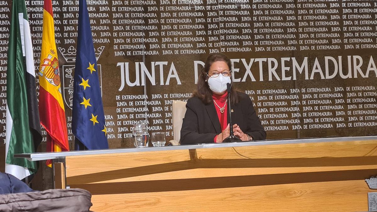La vicepresidenta de la Junta, Pilar Blanco-Morales, este miércoles en rueda de prensa.