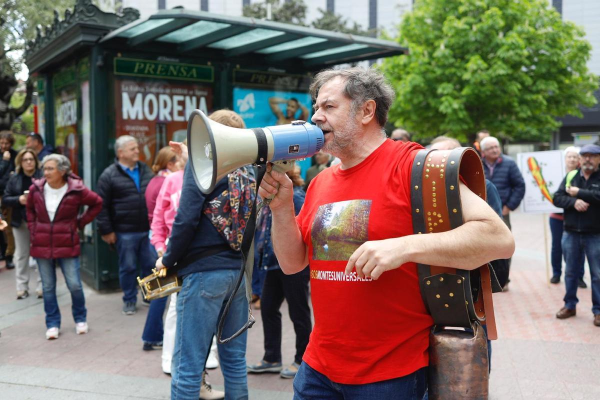 Fotogalería | Manifestación contra la tala masiva de árboles en los ...