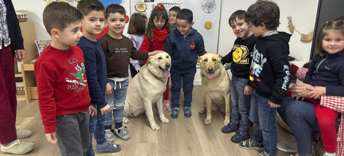 El CRA de Valga también enseña con perros