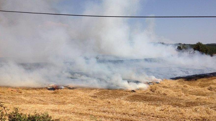 Una imatge de l&#039;incendi, que ha començat en uns camps