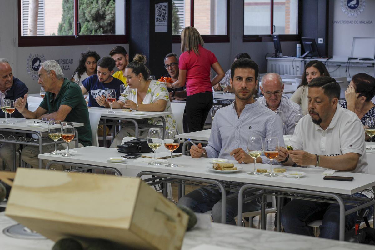 Cata organizada por LCM con La Mayora en el Gastrocampus