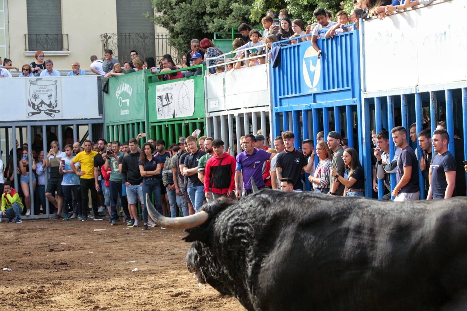 Las mejores imágenes de la jornada de toros del miércoles en Almassora