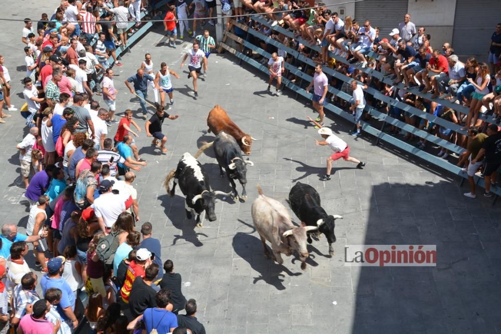 I Encierro de Blanca 2016