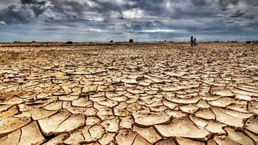 L&#039;edició genètica i el canvi climàtic, reptes científics de 2019