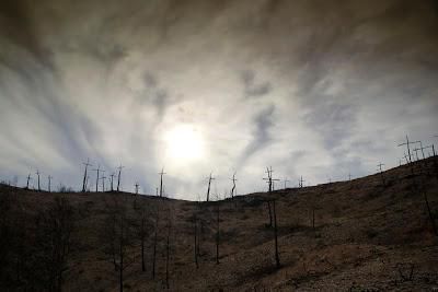 Les mirades més artístiques al Bosc de les creus