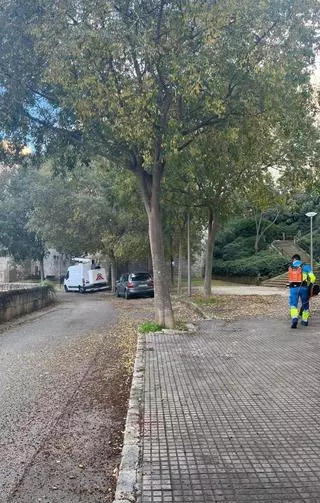 Emaya recoge casi 135 toneladas de residuos y elimina 775 grafitis