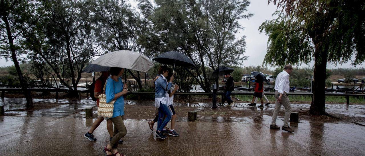 Suspesa per la pluja la Fira de la Sega de l&#039;Arròs de Catarroja, fa dos dies