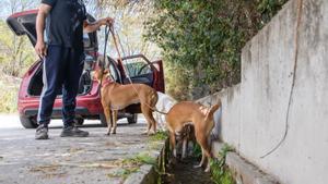 Llum verda per resoldre les fuites d’aigua de Badalona i Santa Coloma