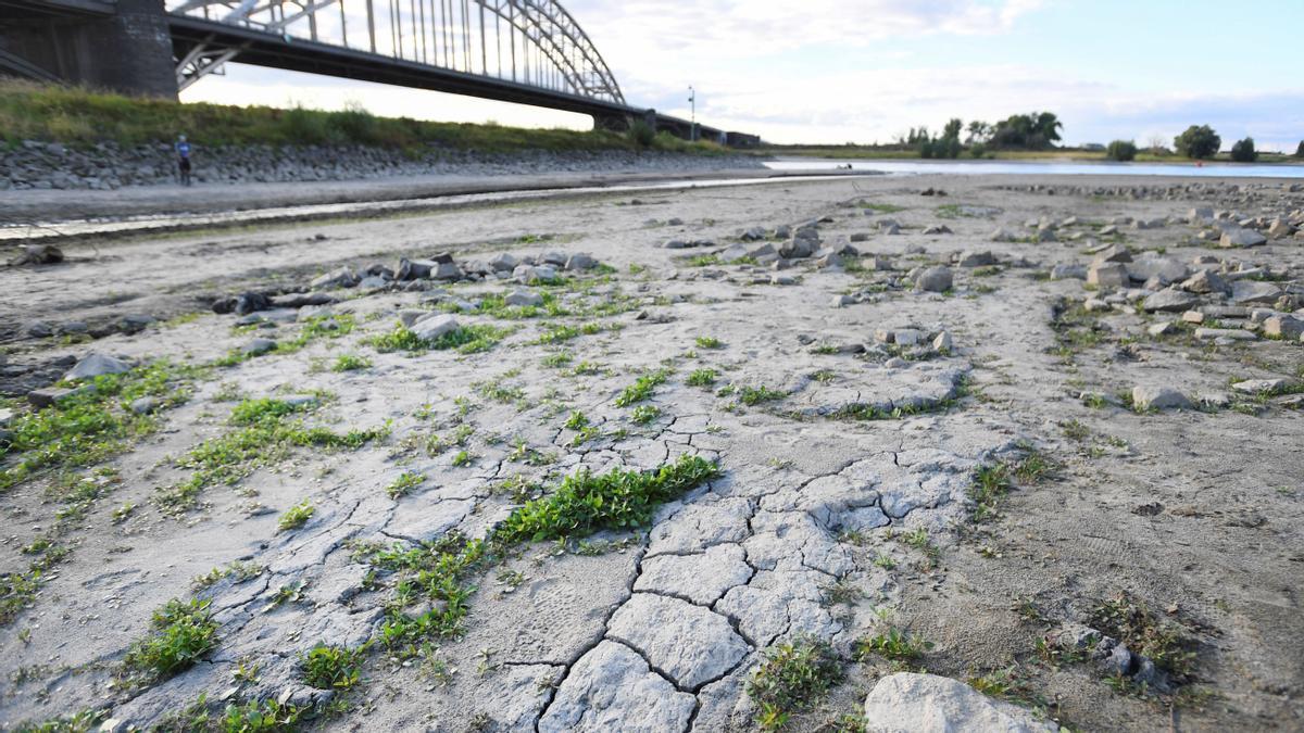 Signos evidentes de sequedad por el bajo caudal del río Waal a su paso por la ciudad holandesa de Nimega