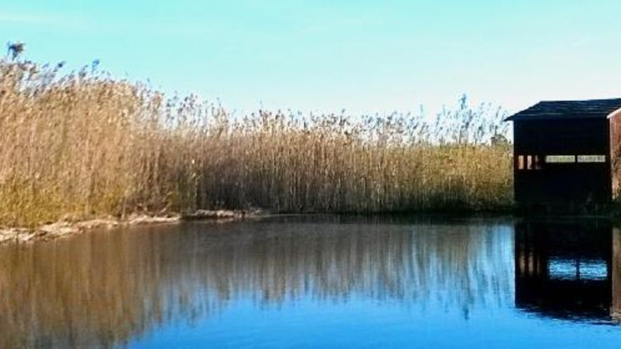 Parques naturales Comunidad Valenciana | Parque Natural de Marjal de Pego-Oliva