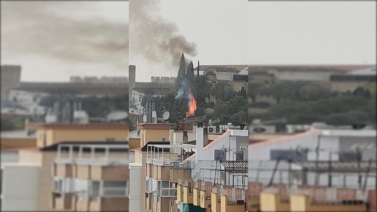 Las llamas en los jardines de la Galera.