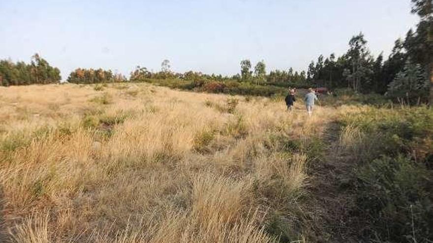 Ubicación proyectada para la planta de Santa Icía.