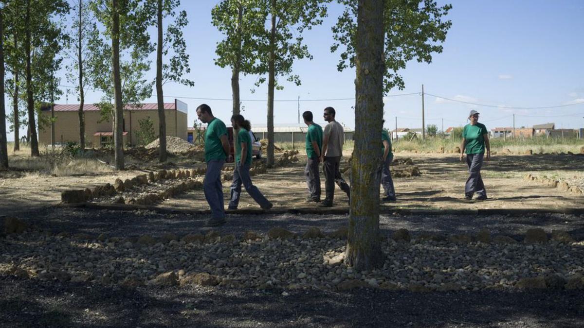 Integrantes de un pasado taller de empleo de jardinería. | J. A. G.