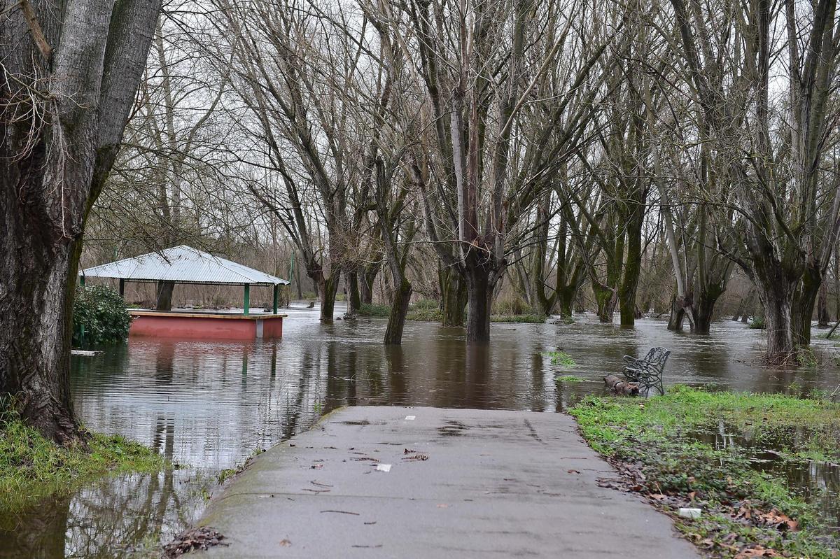 Fotogalería | El río se desborda en La Chopera de Plasencia