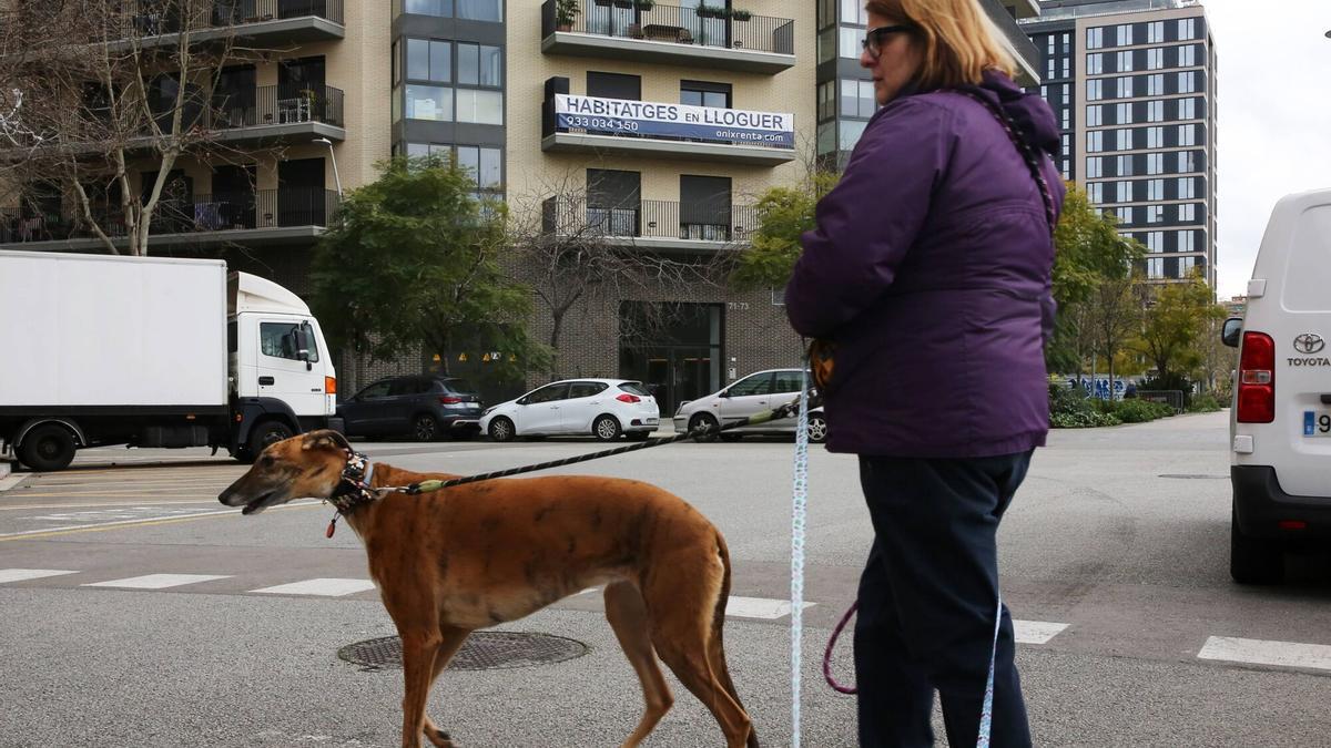 Collboni asegura que el alquiler ha bajado en Barcelona sin una reducción de oferta