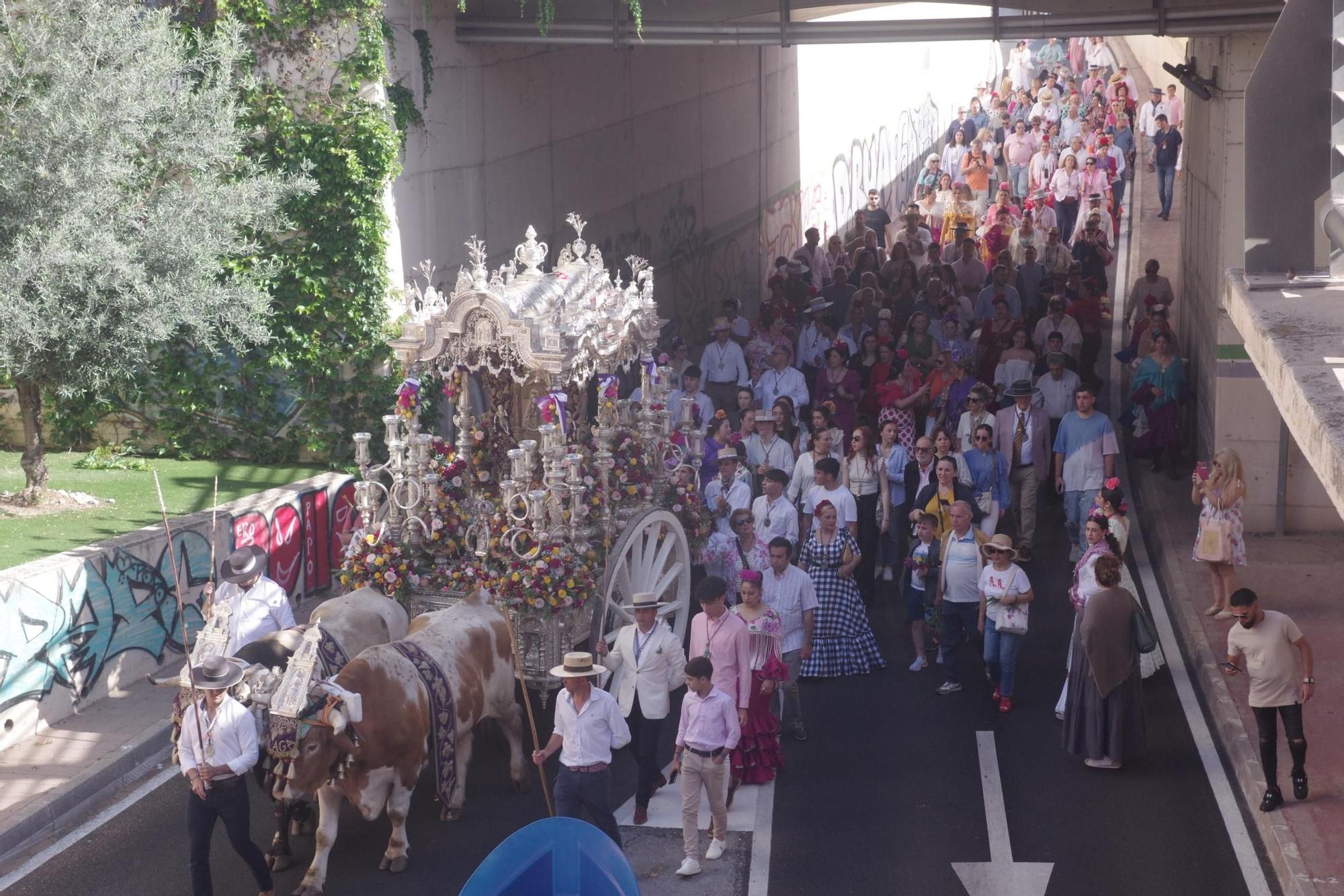 Los romeros de la Hermandad de Málaga han iniciado en la mañana de esta sábado su peregrinaje hasta Almonte para presentarse ante la Virgen del Rocío. La procesión de salida ha partido de su sede canónica y ha recuperado su itinerario tradicional por la calle Carretería, de camino al Santuario de la Victoria