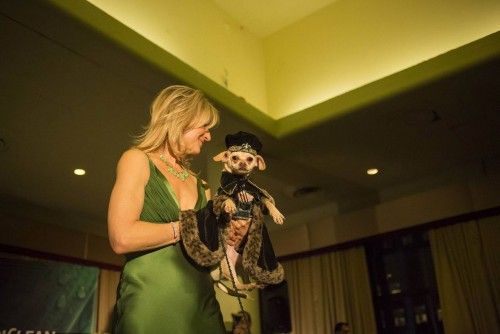 La pasarela de la moda canina de Nueva York ha mostrado cómo se visten algunas de las mascotas más glamurosas
